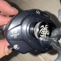 Daiwa Tatula CT TWS 7.3