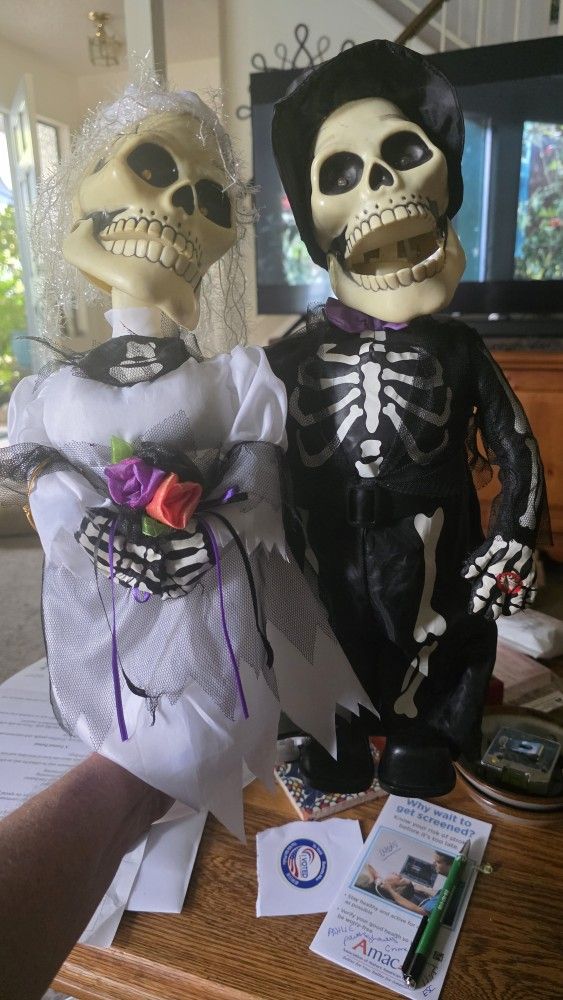 Matrimony Skeletal Groom And Bride Halloween Couple