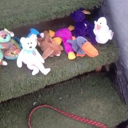 Bennie Babies 71 Total And McDonald's Babies In Plastic