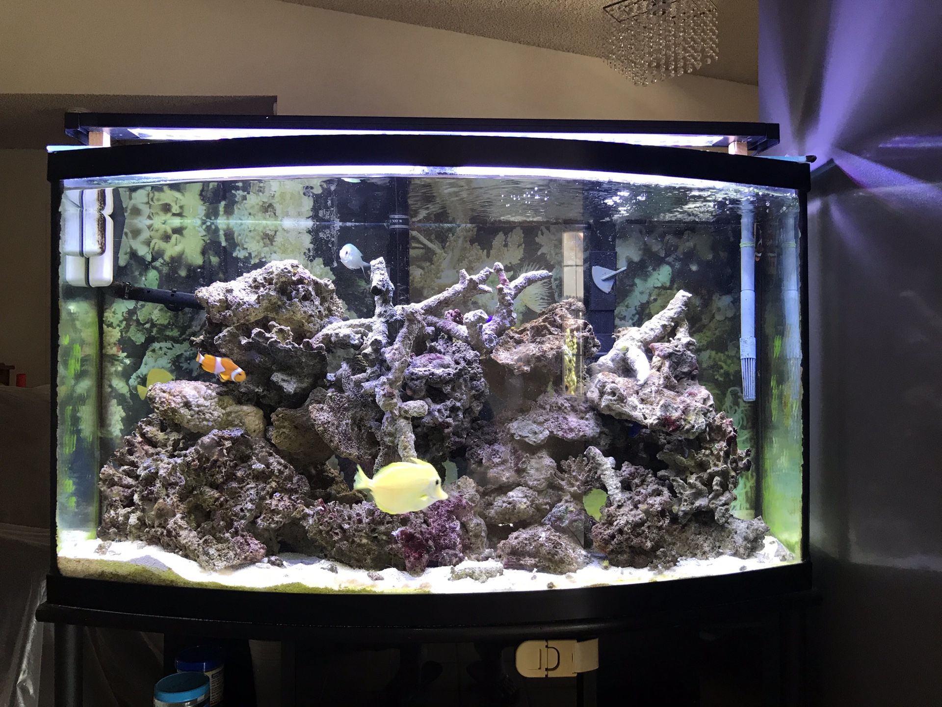 Fish Aquarium with water filter
