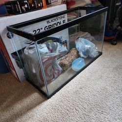 Fish Tank