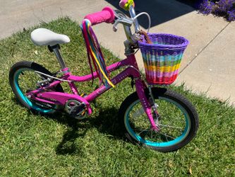 Kids Guardian Bike 14”