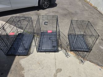 Dogs cage