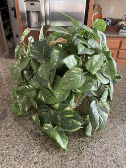 Artificial Plant Basket