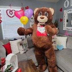 Valentines Teddygram Delivery Service 
