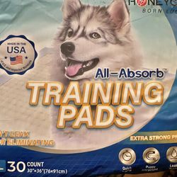 Honey Care training Pads