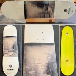 Archival Artist Series autographed Element "Ray Barbee Perspective" Skate Deck