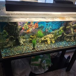 60  Gallon Acrylic Fish Tank Complete with stand, water filter, heater, lights, decorations