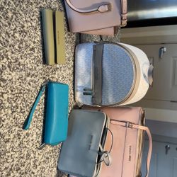 Variety of MK Purses And Wallets 