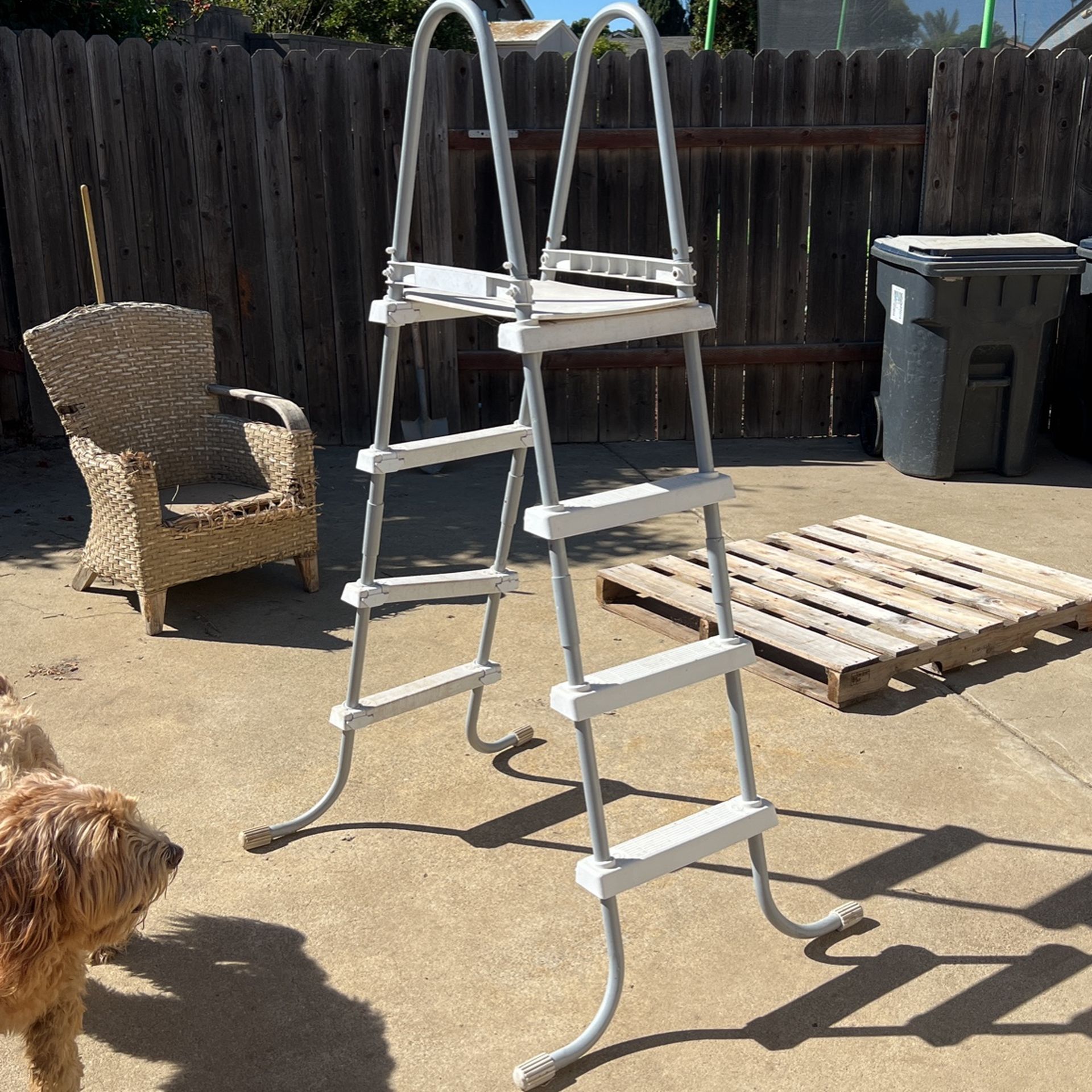 Swimming Pool Ladder