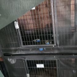Stackable And Single Metal Dog Crate