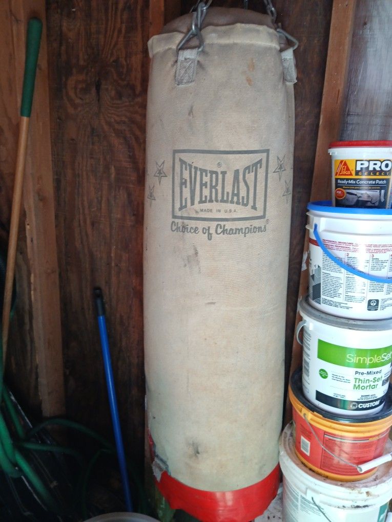 Professional Punching Bag