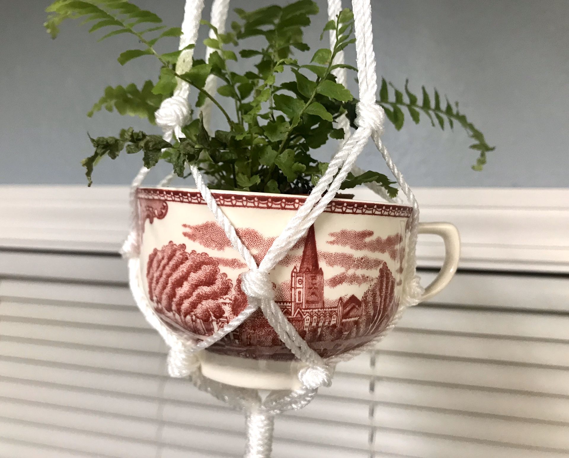 Vintage tea cup macrame plant hanger