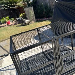 Dog Cage 