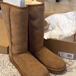 Women’s Tall Uggs - Size 7 Brand New 