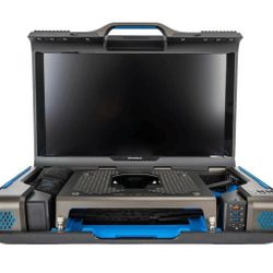 GAEMS Guardian Pro