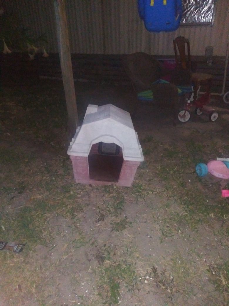 Dog House