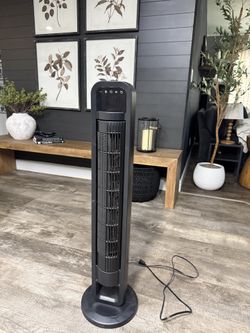 Fan