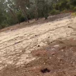 Terrero Venta Lake Placid Florida 