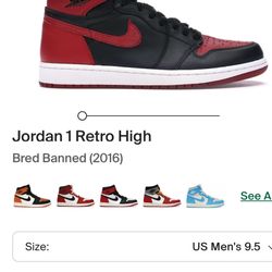 BRED TOE AIR JORDAN (2016)