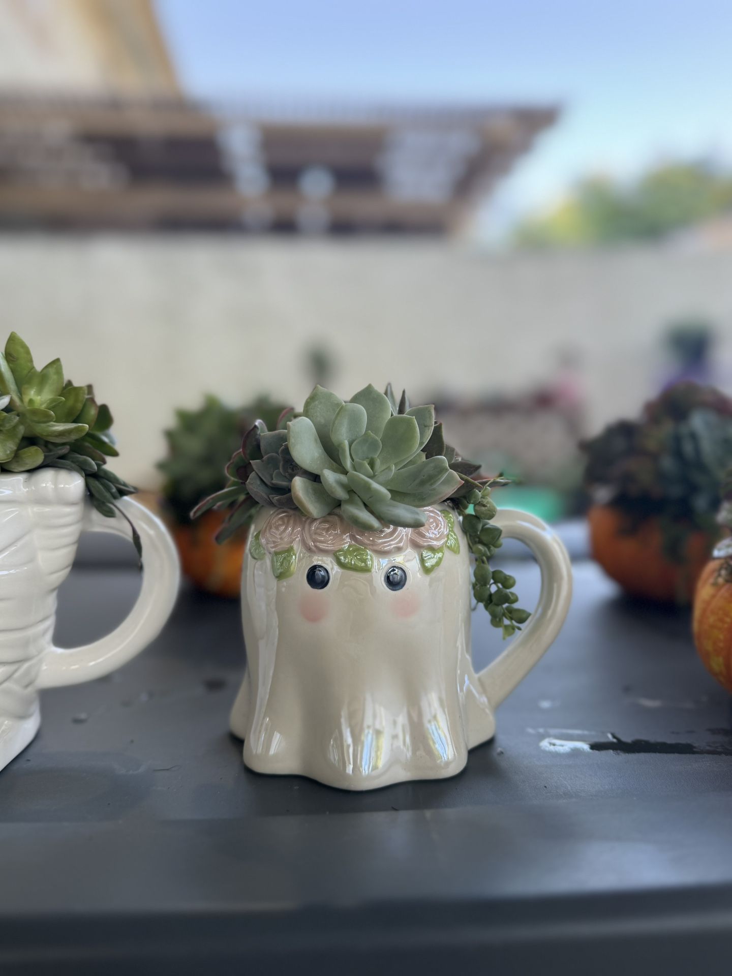 Succulent Ghost Mug