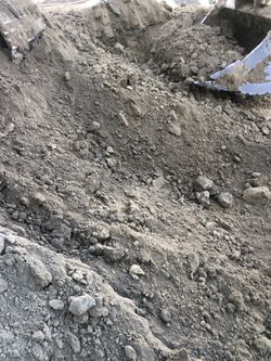 Tierra gratis en el área ...