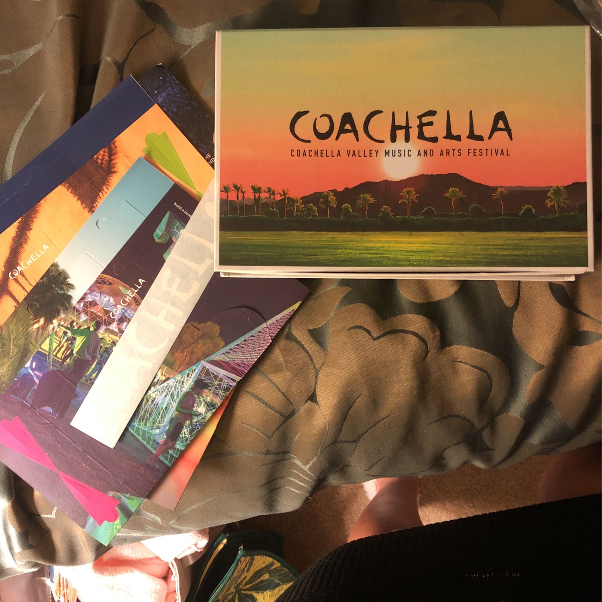 Coachella 2017 W1 Box With Promo Items