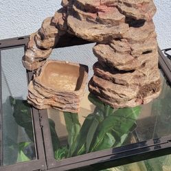 Reptile corner and bowl