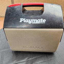 Igloo playmate.
Personal cooler