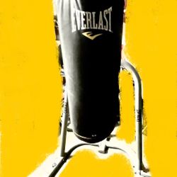 Everlast Punching Bag