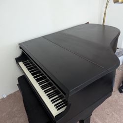 Chickering Bros Acoustigrande / Local Pickup / San Diego / Rare