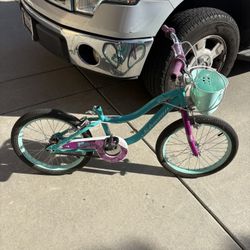 18” Schwinn Elm Bike