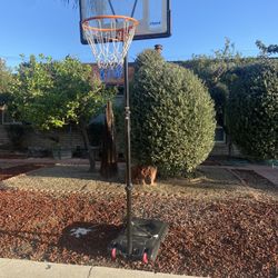 Basketball Hoop