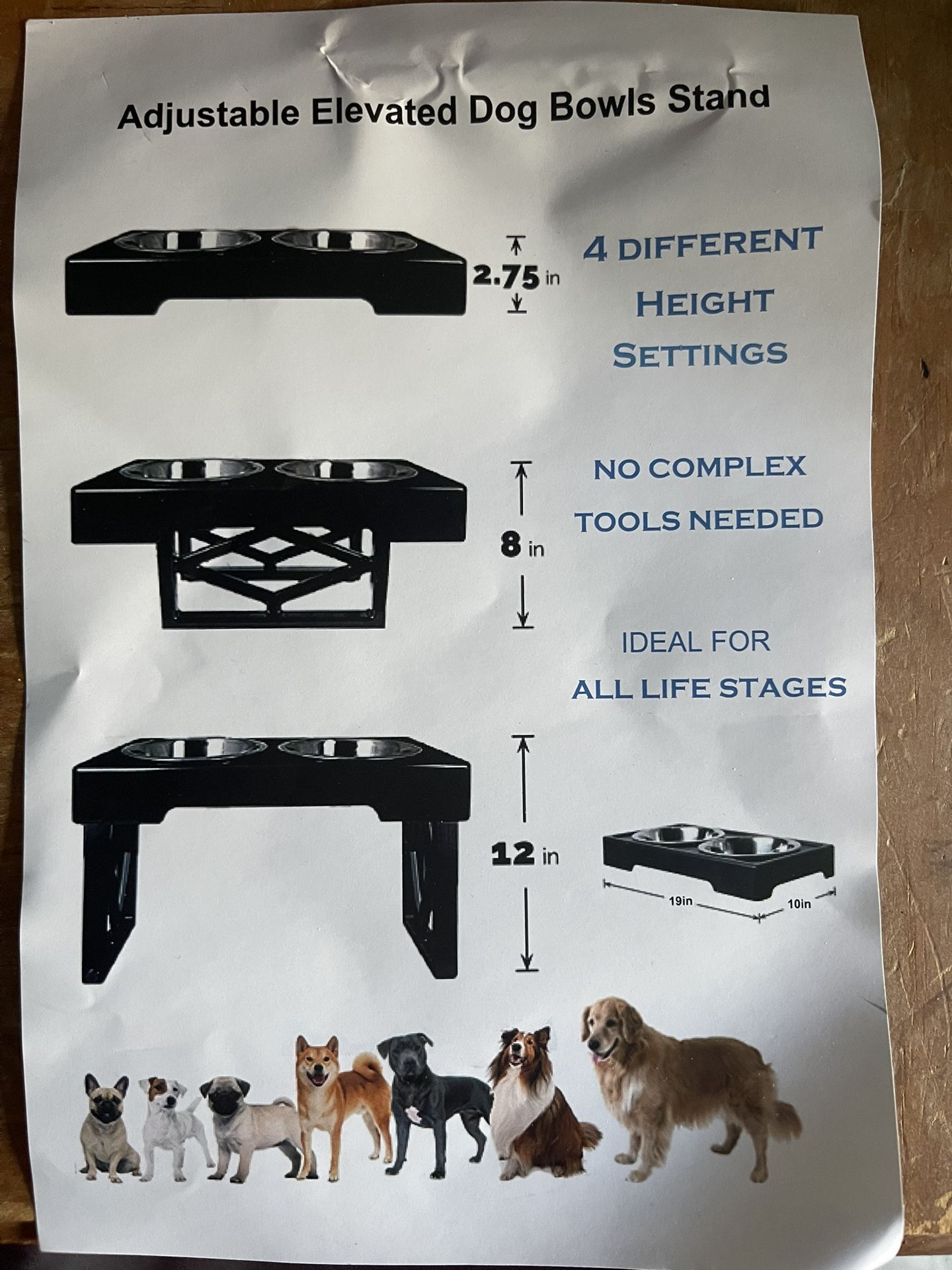 Brand New Raised Dog Bowl