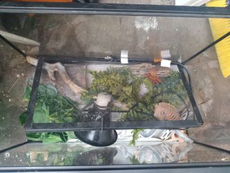 Reptile enclosure with lamp
