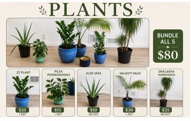 Plants