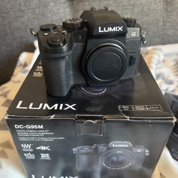 Panasonic Lumix G95 Hybrid Mirrorless Camera with 12-60mm Lens
