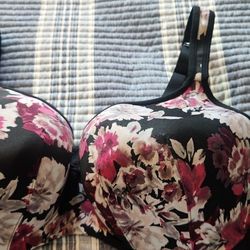 Casique 44DD