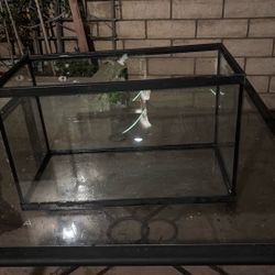 Fish Tank 