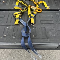 Fully Loaded Harness 