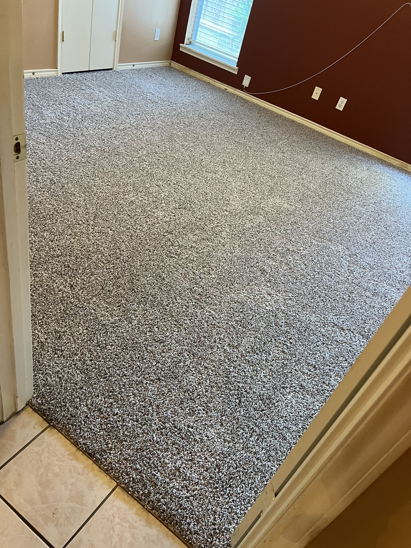 New Carpet