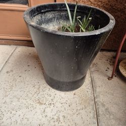 Black Plastic / Resin Planter &Stater Aloe $10