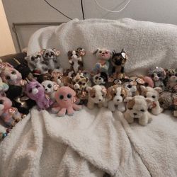🩷🩷BRAND NEW TY BEANIE BOOS🩷🩷