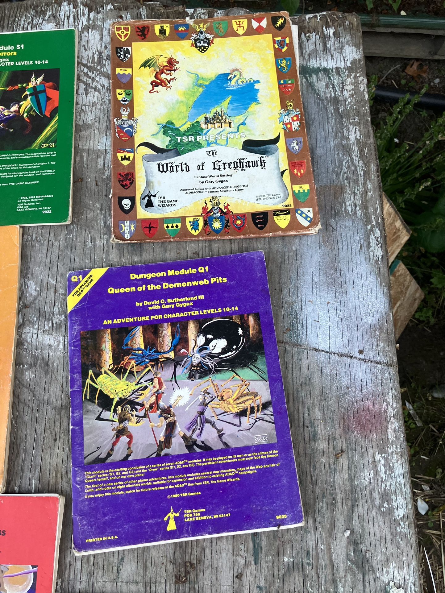 Dungeons and dragons books and modules