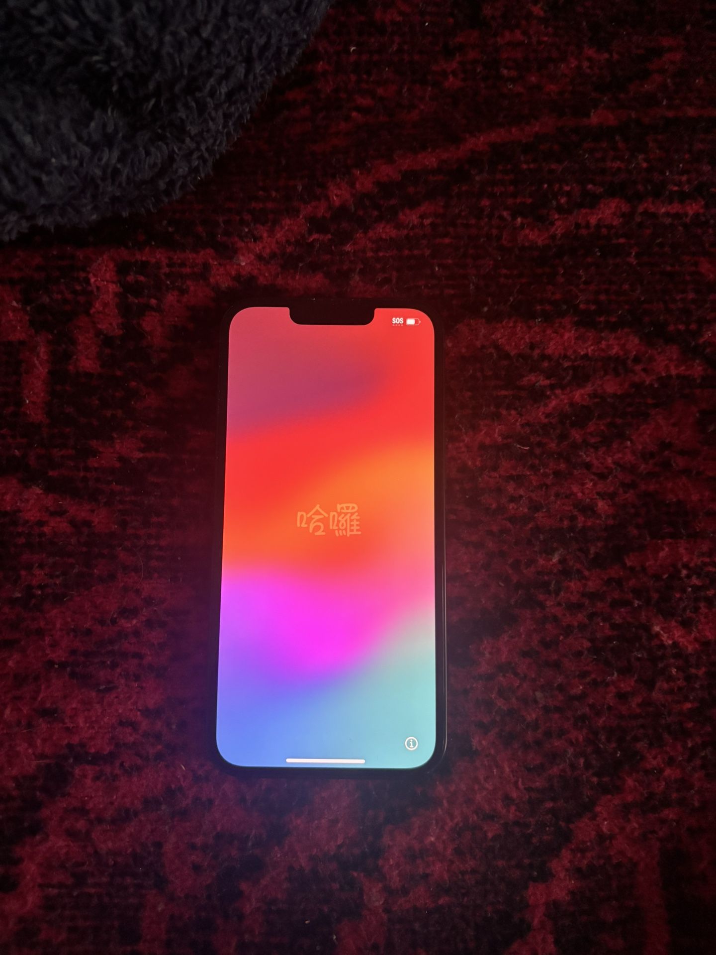 iPhone13