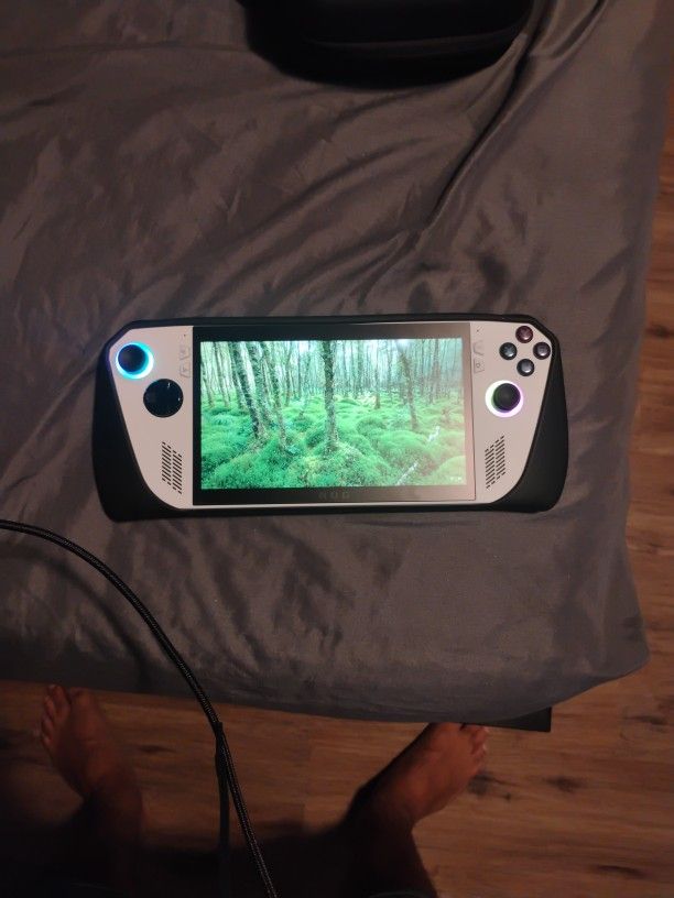 Rog Ally Handheld