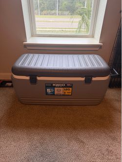 Igloo Cooler