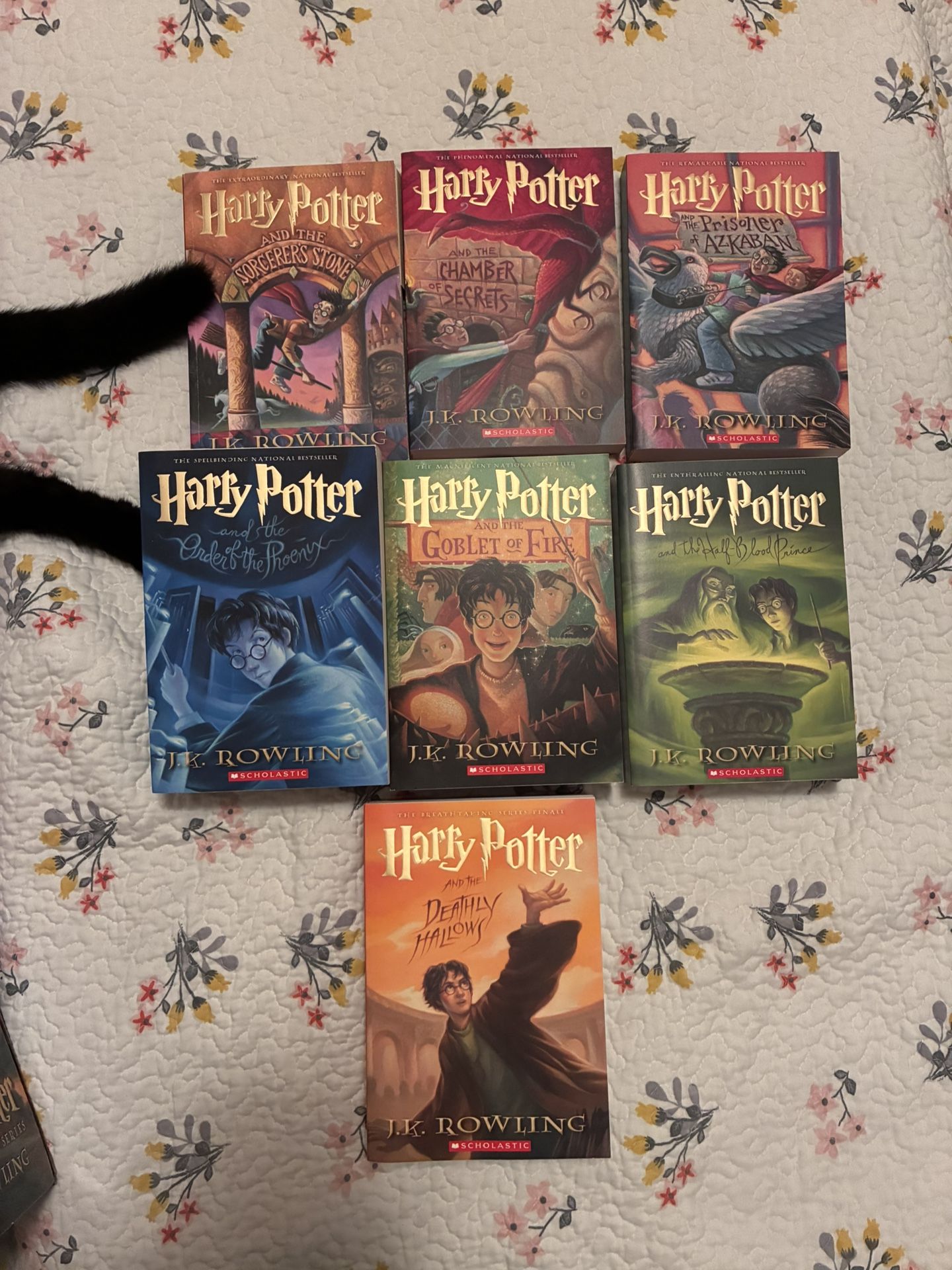Harry Potter Paperback Book Collection