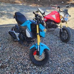 Honda Grom