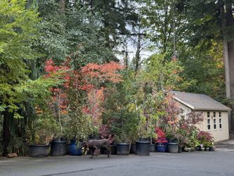 Awesome Fall Colors!! —